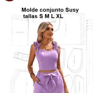 CONJUNTO-SUSY